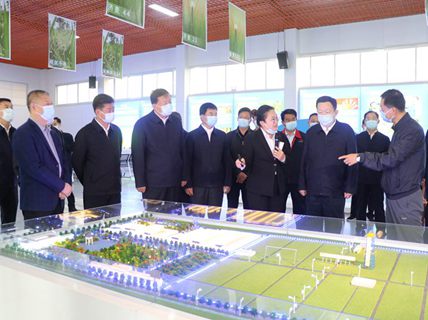 省委副書記、省長周乃翔到新綠洲公司調研指導工作